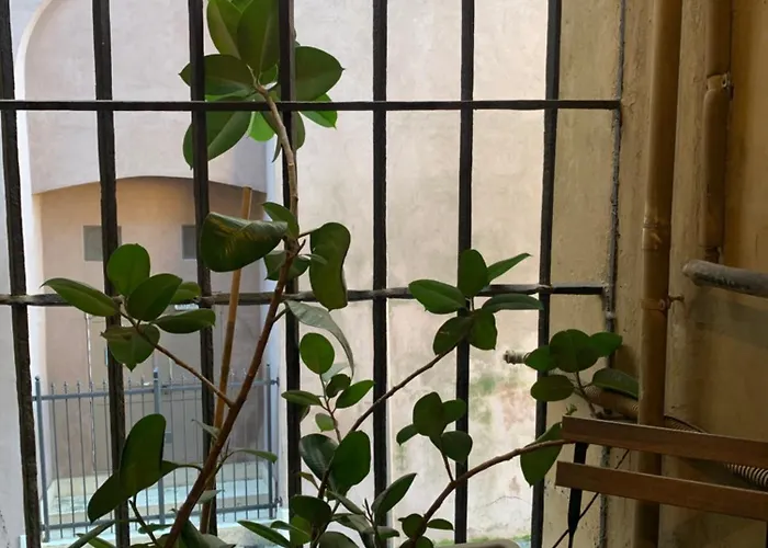 Casacau Apartamento